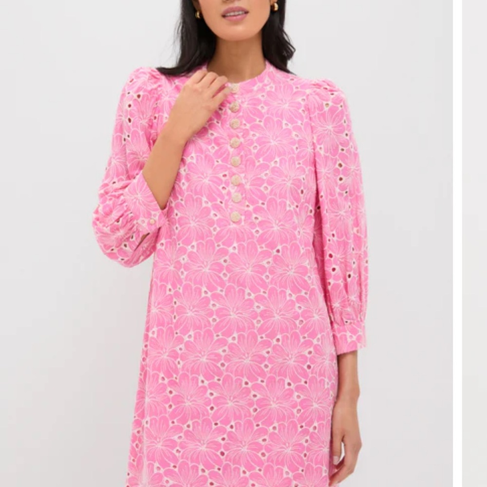 Tuckernuck Pink Eyelet Long-Sleeve Shift Dress